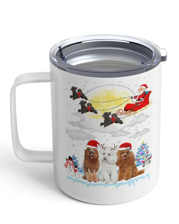 Insulated Mug