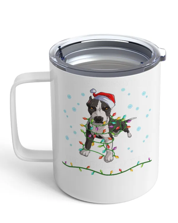 Insulated Mug