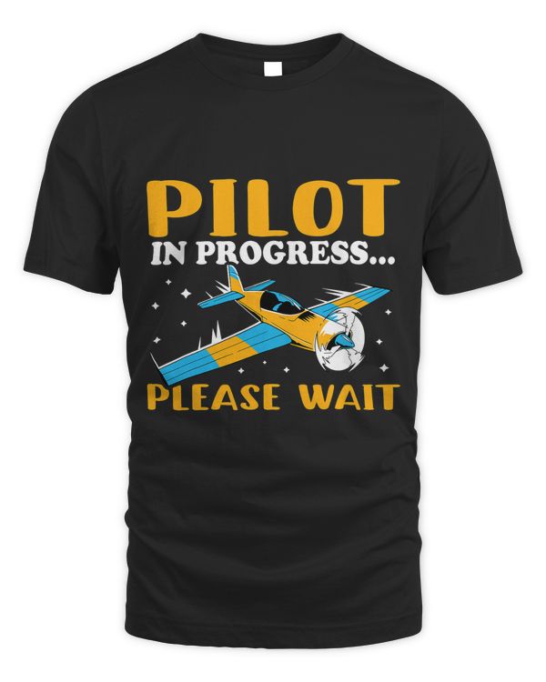 Airplane Pilot in Progress.. Please Wait