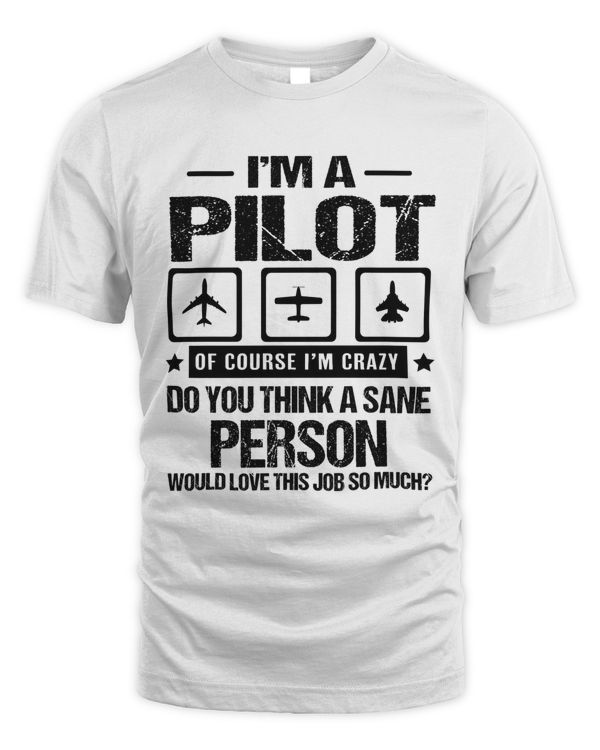 I'm a pilot of course I'm crazy do you think a sane person would love this job so much