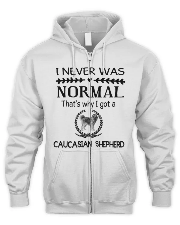 Men's Zip Hoodie