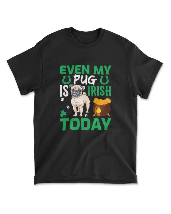 Even My Pug Is Irish Today Pug Dog St Patri