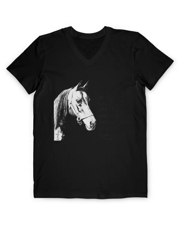 Men's V-Neck T-Shirt