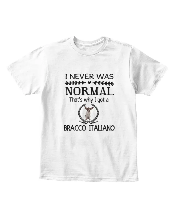 Youth's Standard T-Shirt