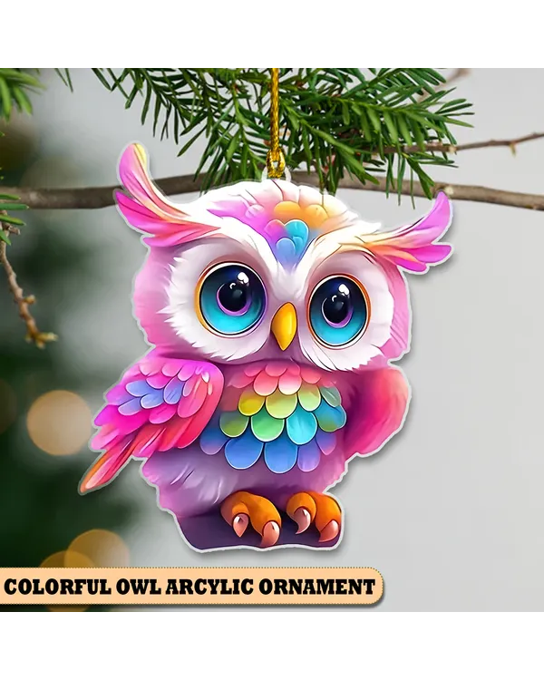 Colorful Owl Acrylic Ornament - Gift For Farm , Ornament Decor , Birthday Gift