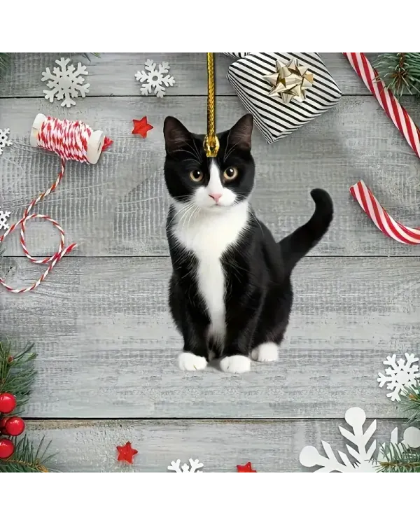 Whimsical Black & White Cat Arcylic Ornament - Gift For Christmas , Ornament Decor