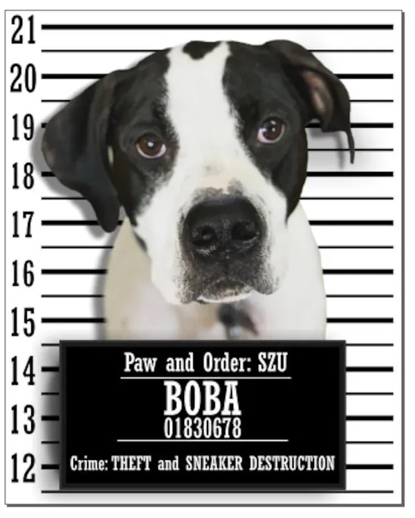 Satin Portrait Poster