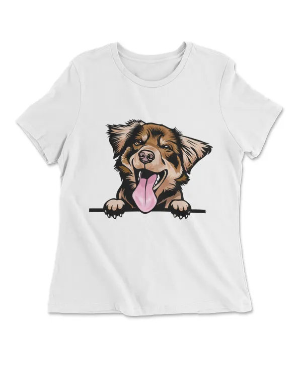 Animal Dog Australian Shepherd