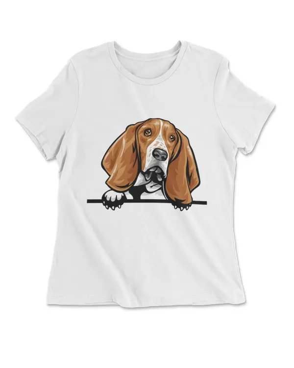 Animal Dog Basset Hound
