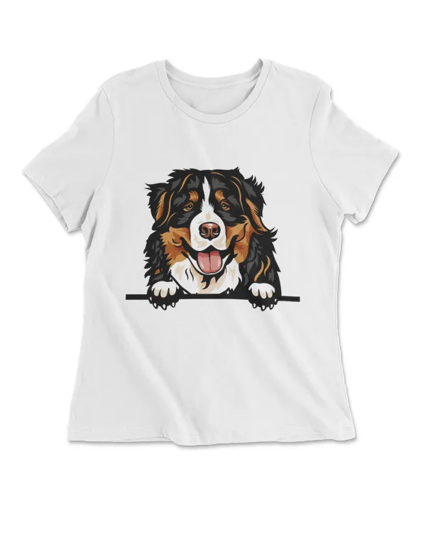 Animal Dog Bernese Mountain Dog