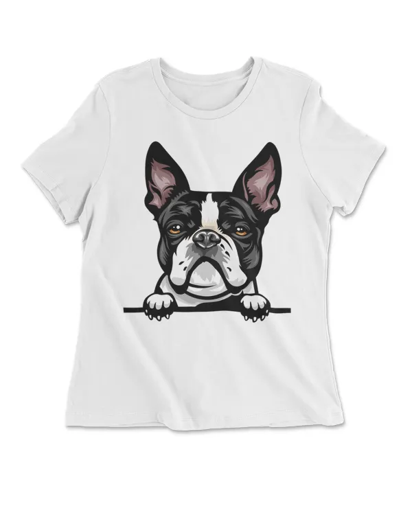 Animal Dog Boston Terrier  2