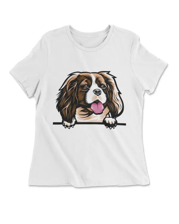 Animal Dog Cavalier King Charles Spaniel