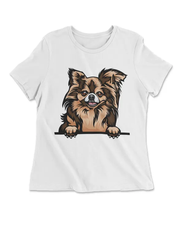 Animal Dog Chichihua 1