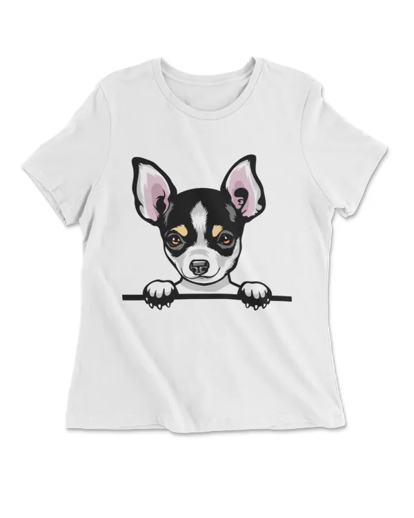 Animal Dog Chihuahua 4