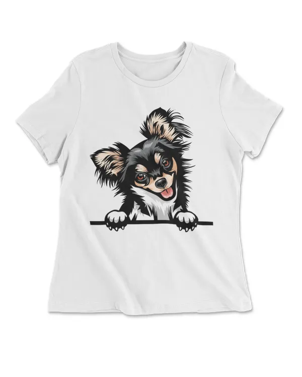 Animal Dog Chihuahua