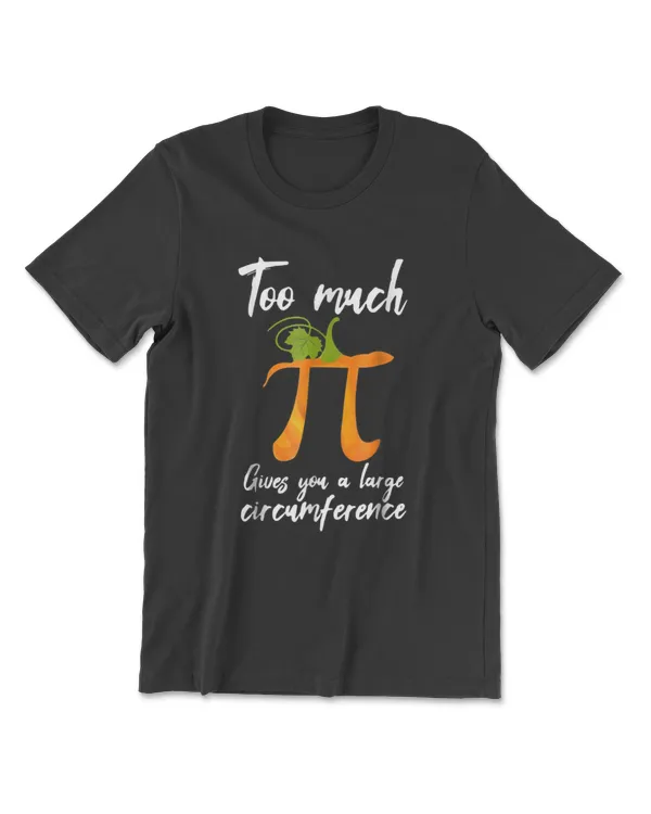 Too Much Pi Gives You A Large9