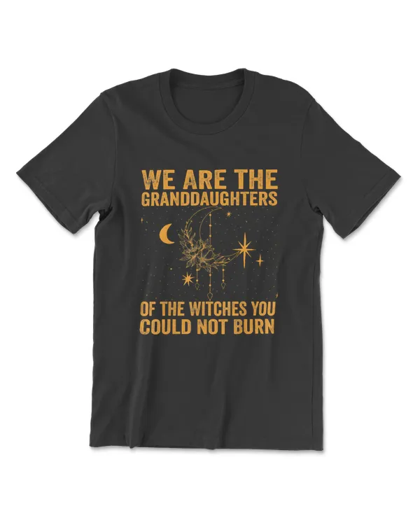 We Are the Granddaughters of the Witches You Could Not Burn T-Shirt