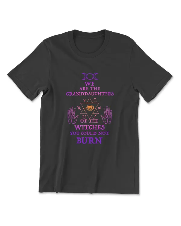 We Are The Granddaughters Of The Witches, Feminist Witch Tee T-Shirt