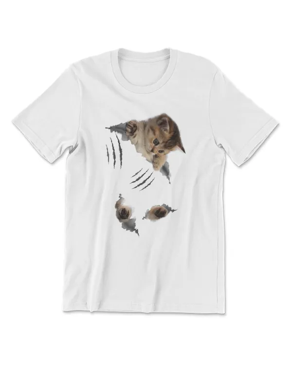 Men's Premium Tshirt