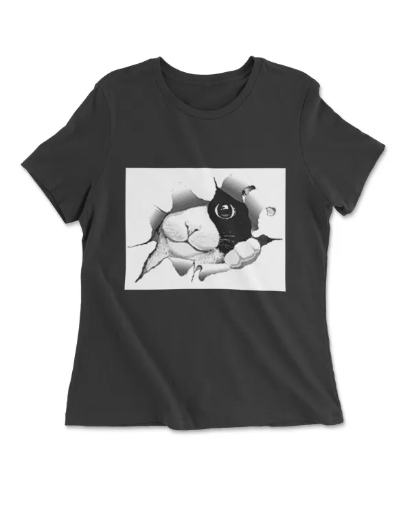 Women's Premium Tshirt
