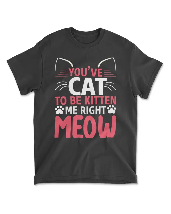 YOUVE CAT TO BE KITTEN ME RIGHT MEOW