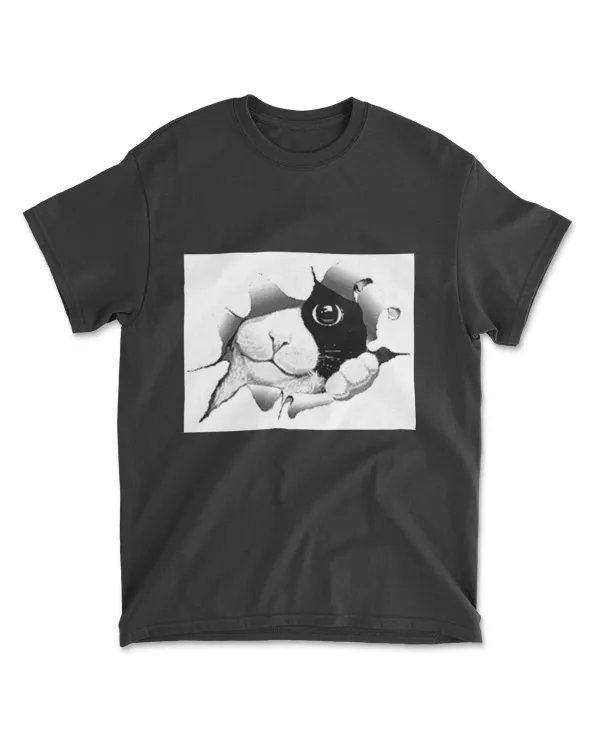 Curious Black and White Kitty Cat T-Shirt