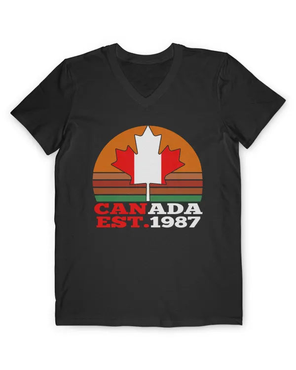 Men's V-Neck T-Shirt