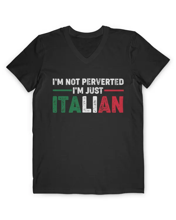 Men's V-Neck T-Shirt