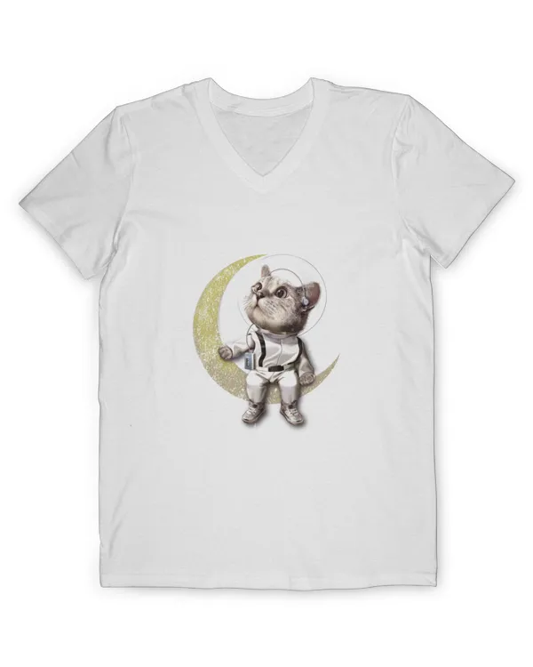 Men's V-Neck T-Shirt