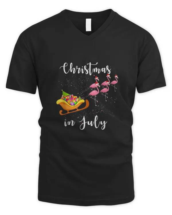 Men's V-Neck T-Shirt