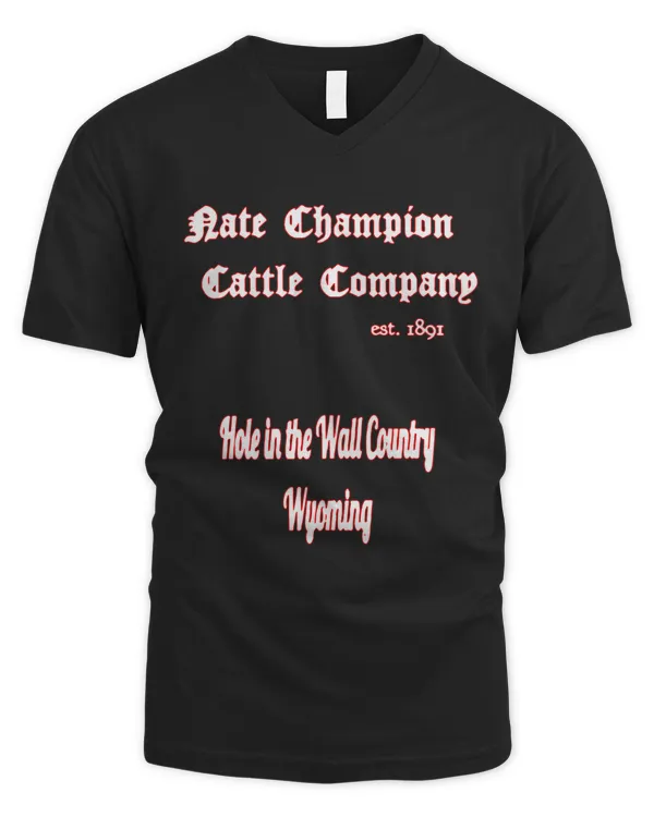 Men's V-Neck T-Shirt