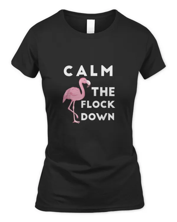 Women's Soft Style T-Shirt