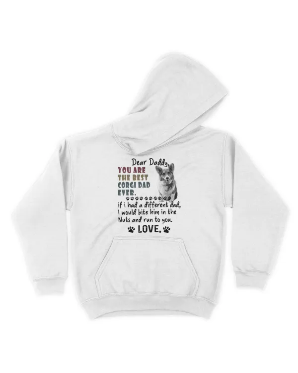 Youth Pullover Hoodie