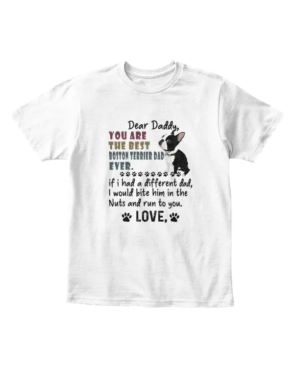 Youth's Standard T-Shirt