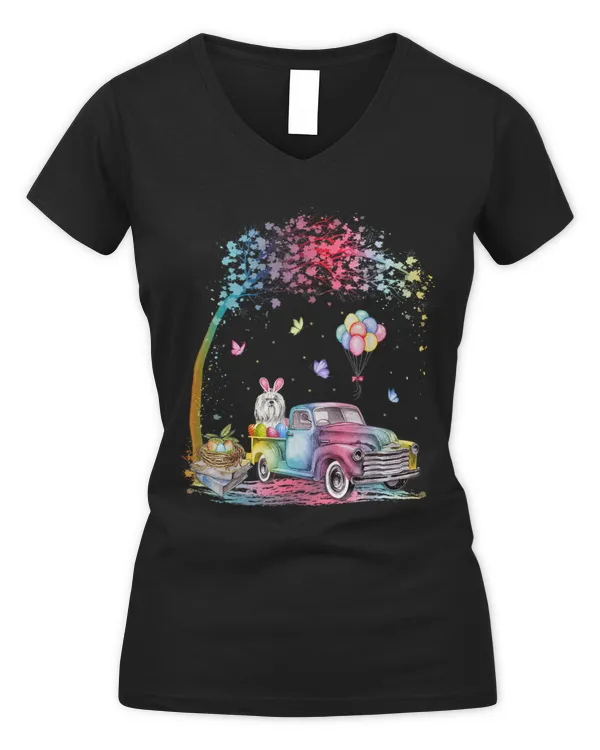 Women's V-Neck T-Shirt