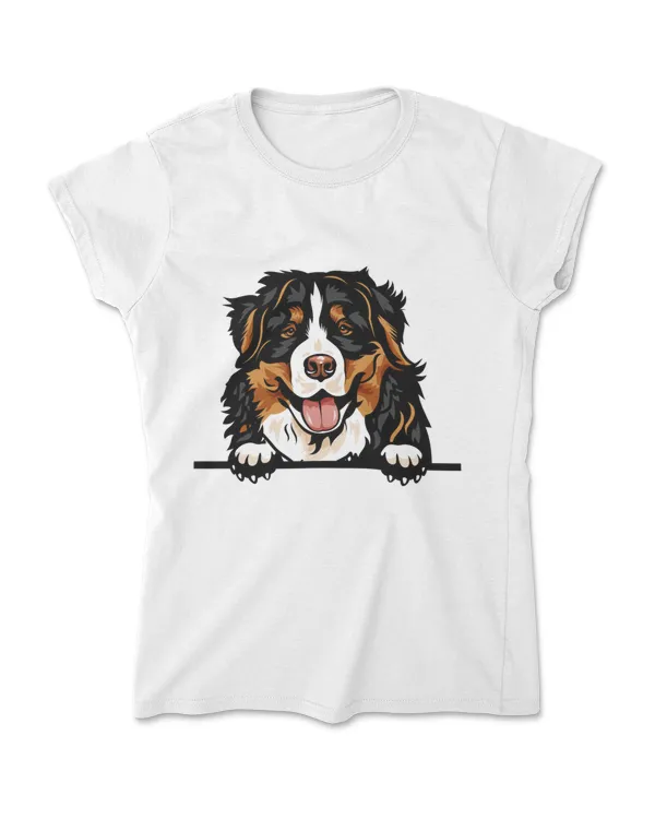 Women's Soft Style Fitted T-Shirt