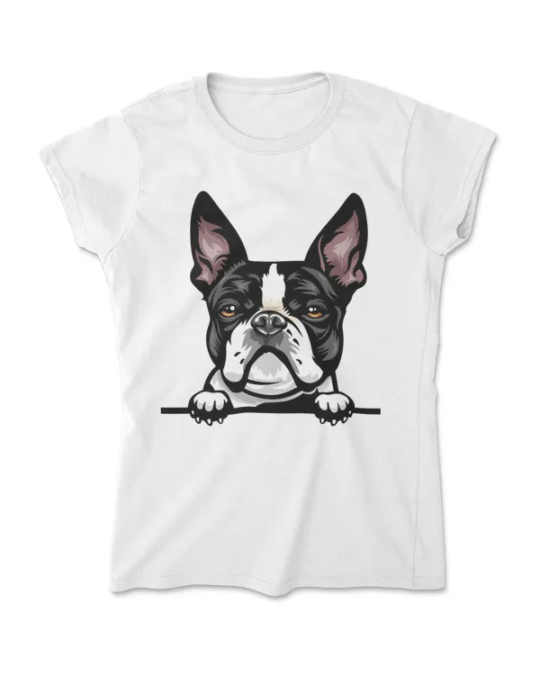 Women's Soft Style Fitted T-Shirt