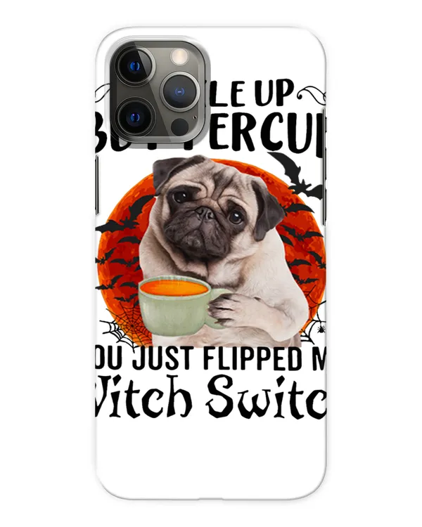 Snap Case - iP 12