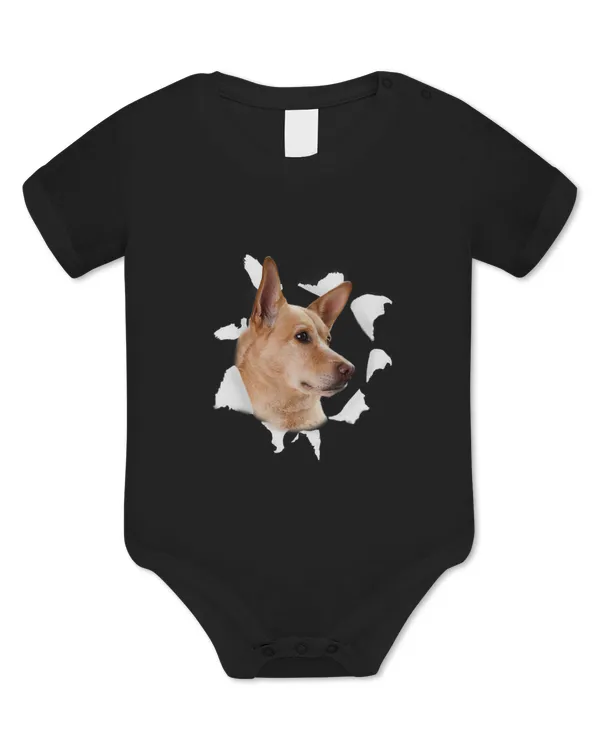 Baby Bodysuit - EU