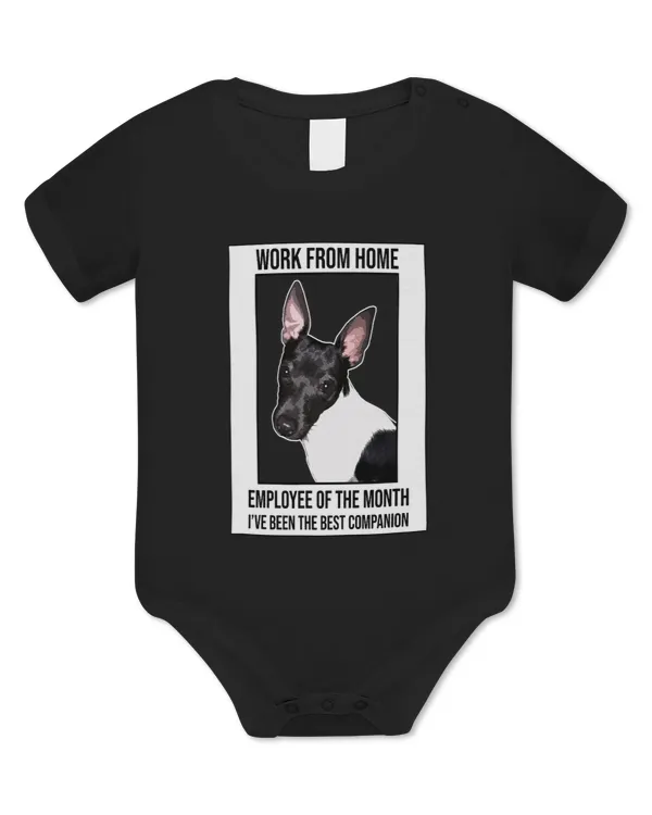 Baby Bodysuit - EU
