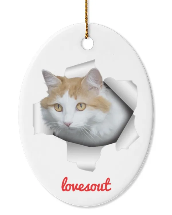 Oval Ceramic Ornament (US)