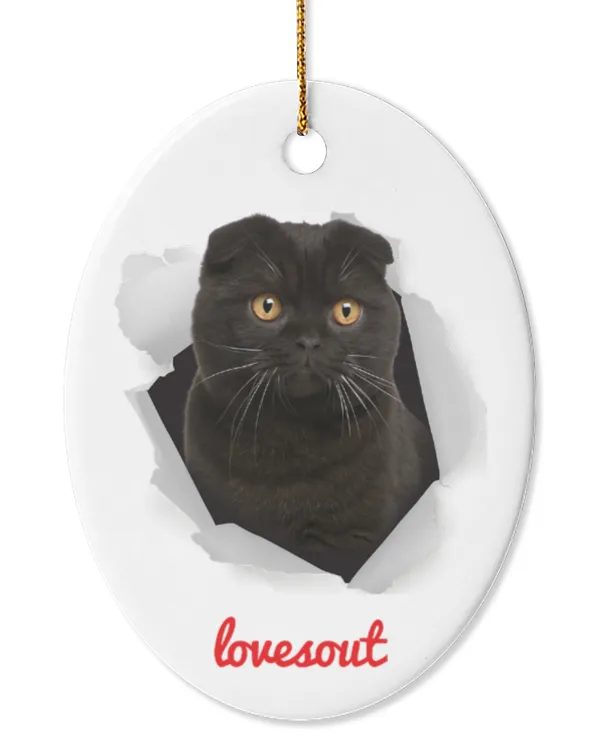 Oval Ceramic Ornament (US)