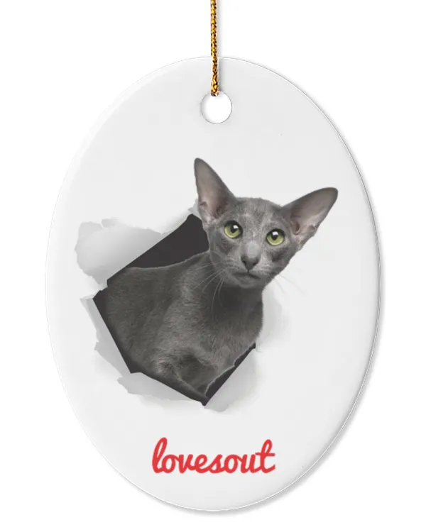 Oval Ceramic Ornament (US)