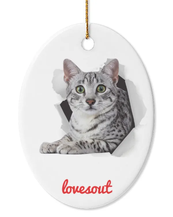 Oval Ceramic Ornament (US)