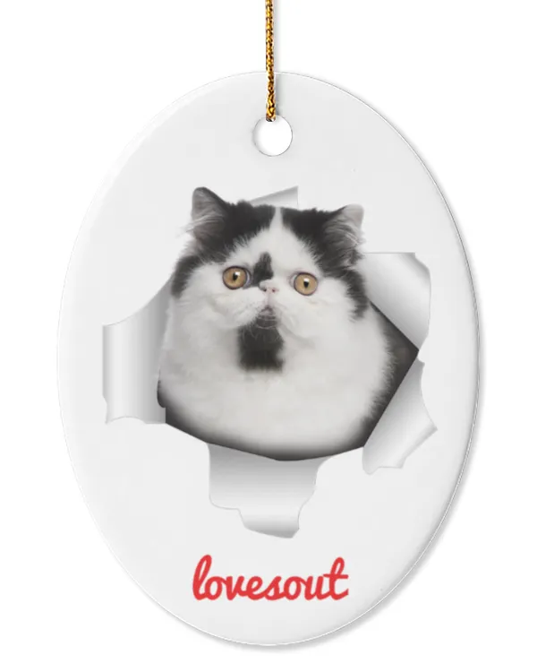 Oval Ceramic Ornament (US)