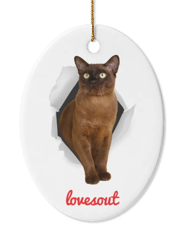 Oval Ceramic Ornament (US)