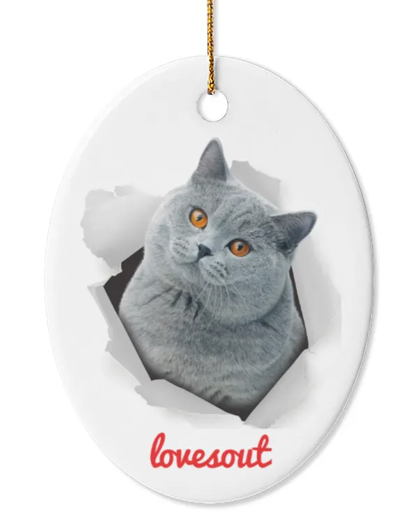 Oval Ceramic Ornament (US)