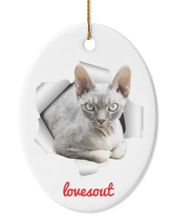 Oval Ceramic Ornament (US)