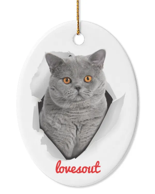 Oval Ceramic Ornament (US)