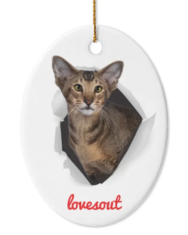 Oval Ceramic Ornament (US)